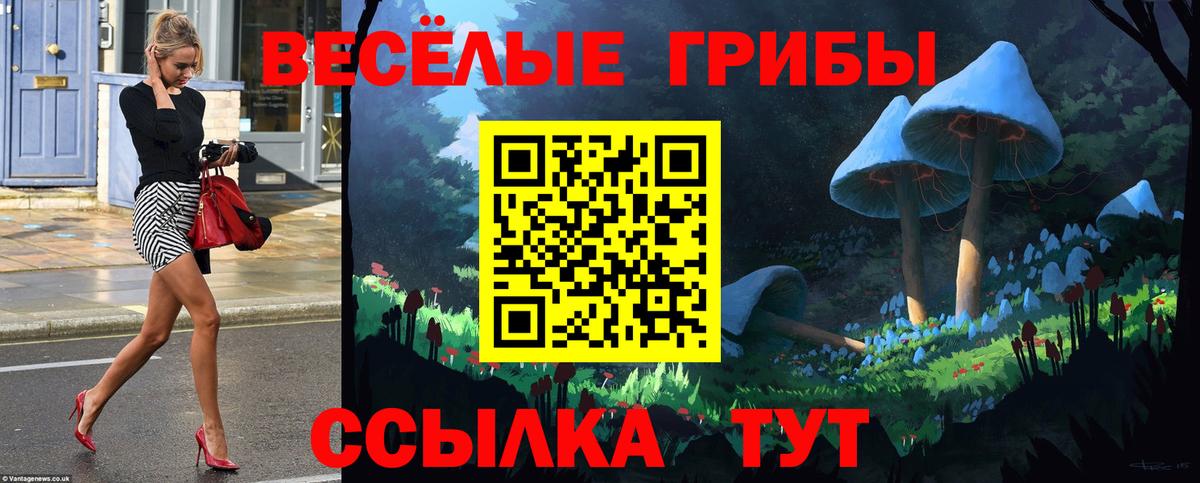Галлюциногенные грибы ЛСД Новочебоксарск
