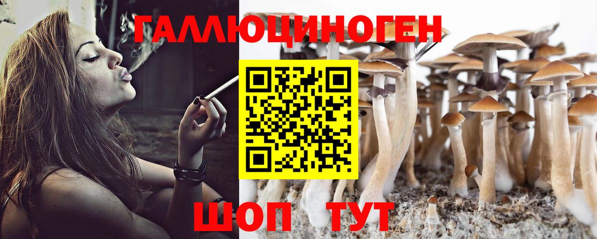 Галлюциногенные грибы Psilocybine cubensis  Псилоцибиновые грибы Psilocybine cubensis  Вход с VPN  купить наркотики цена  Новочебоксарск 